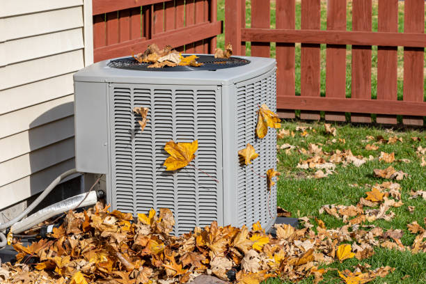 Best HVAC Air Duct Cleaning  in Blue Ridge, GA